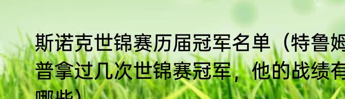 斯诺克世锦赛历届冠军名单（特鲁姆普拿过几次世锦赛冠军，他的战绩有哪些）