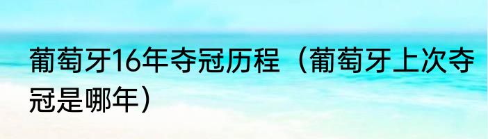 葡萄牙16年夺冠历程（葡萄牙上次夺冠是哪年）