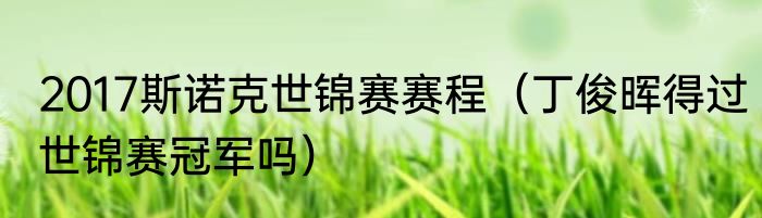 2017斯诺克世锦赛赛程（丁俊晖得过世锦赛冠军吗）