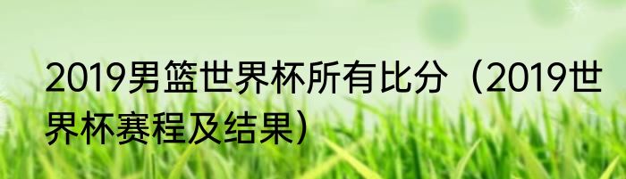 2019男篮世界杯所有比分（2019世界杯赛程及结果）