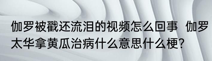 伽罗被戳还流泪的视频怎么回事  伽罗太华拿黄瓜治病什么意思什么梗?