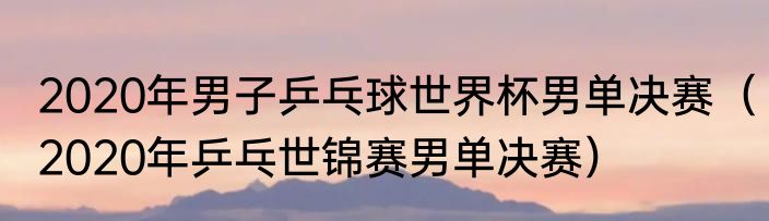 2020年男子乒乓球世界杯男单决赛（2020年乒乓世锦赛男单决赛）