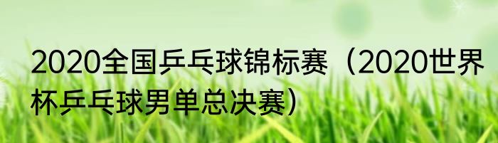 2020全国乒乓球锦标赛（2020世界杯乒乓球男单总决赛）