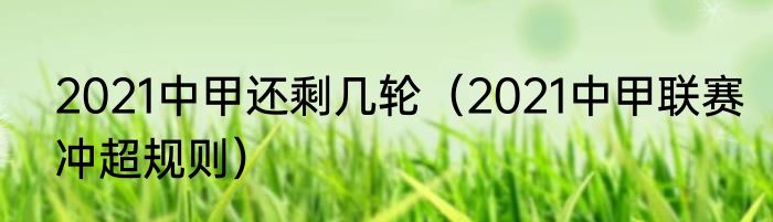 2021中甲还剩几轮（2021中甲联赛冲超规则）
