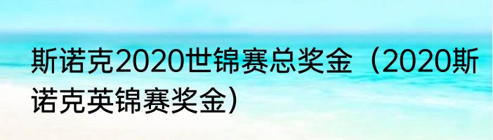 斯诺克2020世锦赛总奖金（2020斯诺克英锦赛奖金）