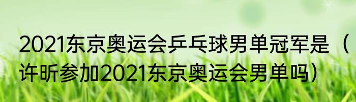 2021东京奥运会乒乓球男单冠军是（许昕参加2021东京奥运会男单吗）