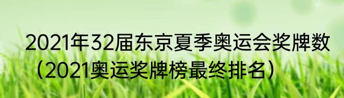 2021年32届东京夏季奥运会奖牌数（2021奥运奖牌榜最终排名）