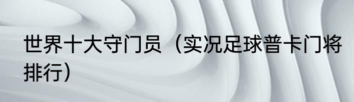 世界十大守门员（实况足球普卡门将排行）