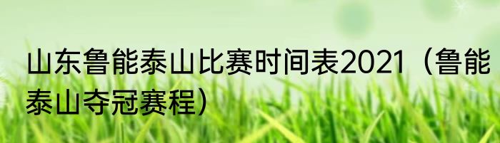 山东鲁能泰山比赛时间表2021（鲁能泰山夺冠赛程）