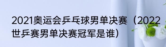 2021奥运会乒乓球男单决赛（2022世乒赛男单决赛冠军是谁）