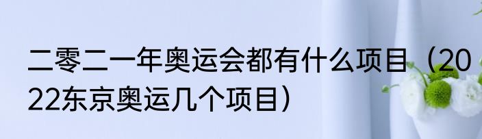 二零二一年奥运会都有什么项目（2022东京奥运几个项目）