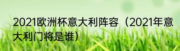 2021欧洲杯意大利阵容（2021年意大利门将是谁）