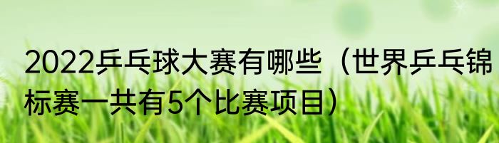 2022乒乓球大赛有哪些（世界乒乓锦标赛一共有5个比赛项目）