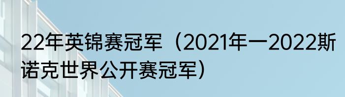 22年英锦赛冠军（2021年一2022斯诺克世界公开赛冠军）