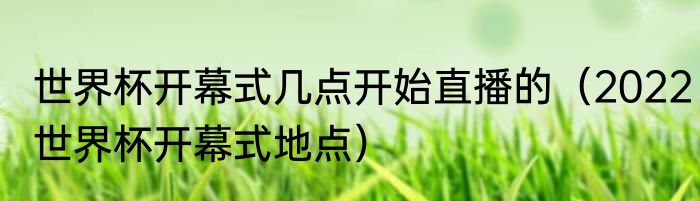 世界杯开幕式几点开始直播的（2022世界杯开幕式地点）