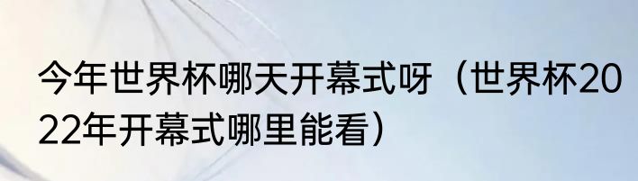 今年世界杯哪天开幕式呀（世界杯2022年开幕式哪里能看）