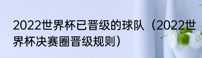 2022世界杯已晋级的球队（2022世界杯决赛圈晋级规则）