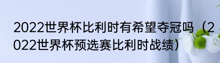 2022世界杯比利时有希望夺冠吗（2022世界杯预选赛比利时战绩）