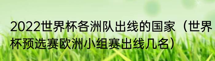2022世界杯各洲队出线的国家（世界杯预选赛欧洲小组赛出线几名）