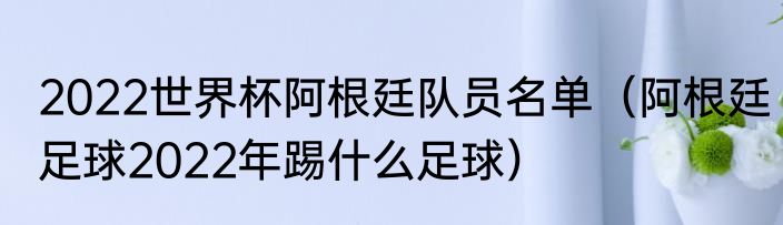2022世界杯阿根廷队员名单（阿根廷足球2022年踢什么足球）