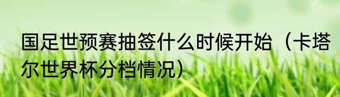 国足世预赛抽签什么时候开始（卡塔尔世界杯分档情况）