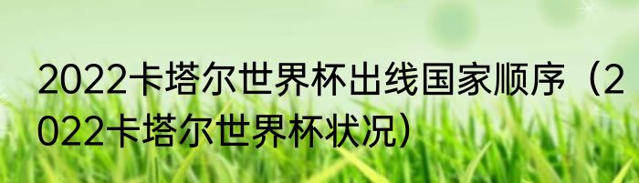 2022卡塔尔世界杯出线国家顺序（2022卡塔尔世界杯状况）