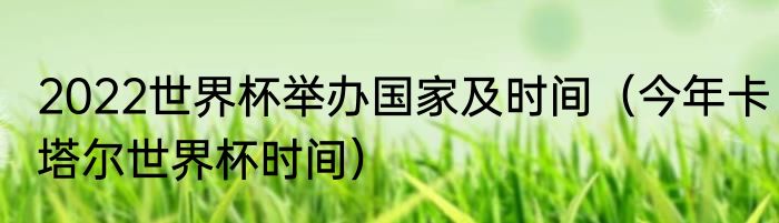 2022世界杯举办国家及时间（今年卡塔尔世界杯时间）