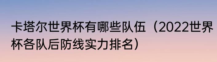 卡塔尔世界杯有哪些队伍（2022世界杯各队后防线实力排名）
