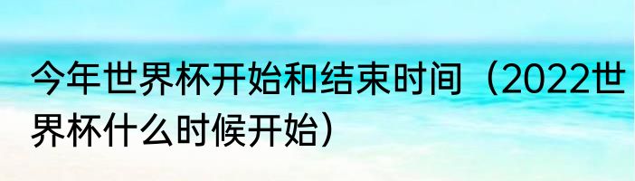 今年世界杯开始和结束时间（2022世界杯什么时候开始）