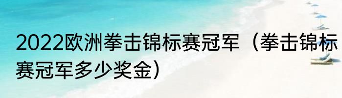2022欧洲拳击锦标赛冠军（拳击锦标赛冠军多少奖金）