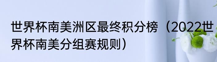 世界杯南美洲区最终积分榜（2022世界杯南美分组赛规则）