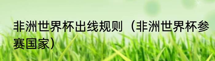 非洲世界杯出线规则（非洲世界杯参赛国家）