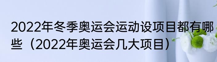 2022年冬季奥运会运动设项目都有哪些（2022年奥运会几大项目）