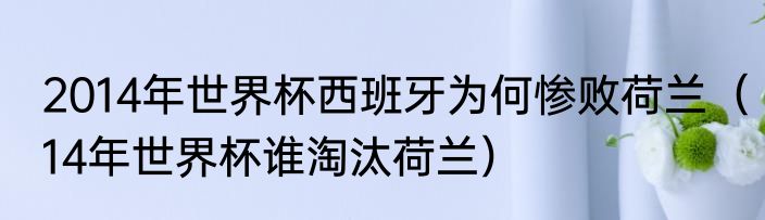 2014年世界杯西班牙为何惨败荷兰（14年世界杯谁淘汰荷兰）