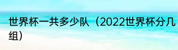 世界杯一共多少队（2022世界杯分几组）