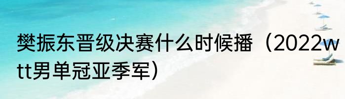 樊振东晋级决赛什么时候播（2022wtt男单冠亚季军）
