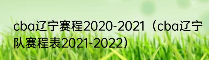 cba辽宁赛程2020-2021（cba辽宁队赛程表2021-2022）