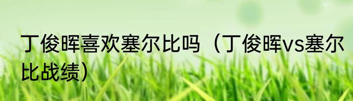 丁俊晖喜欢塞尔比吗（丁俊晖vs塞尔比战绩）