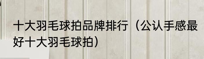 十大羽毛球拍品牌排行（公认手感最好十大羽毛球拍）