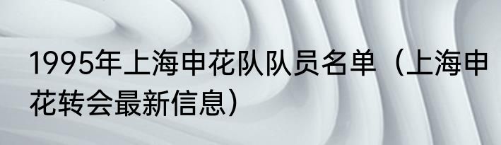 1995年上海申花队队员名单（上海申花转会最新信息）