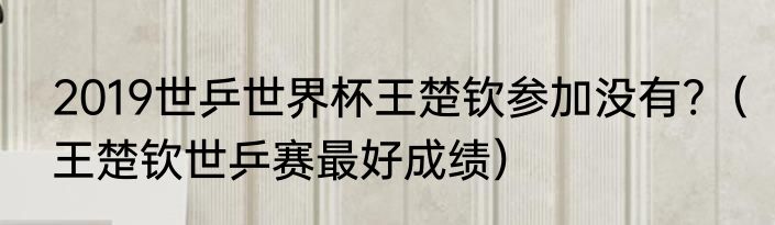 2019世乒世界杯王楚钦参加没有?（王楚钦世乒赛最好成绩）
