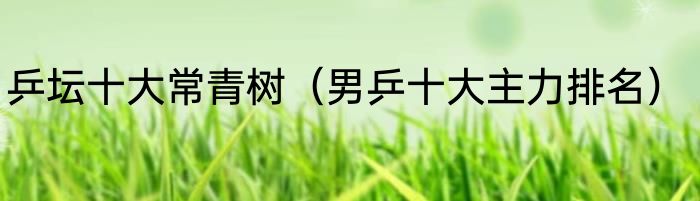 乒坛十大常青树（男乒十大主力排名）