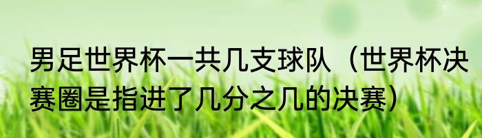 男足世界杯一共几支球队（世界杯决赛圈是指进了几分之几的决赛）