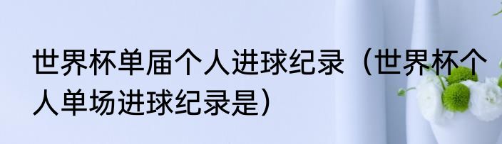 世界杯单届个人进球纪录（世界杯个人单场进球纪录是）