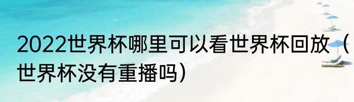 2022世界杯哪里可以看世界杯回放（世界杯没有重播吗）