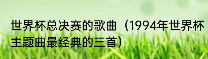 世界杯总决赛的歌曲（1994年世界杯主题曲最经典的三首）