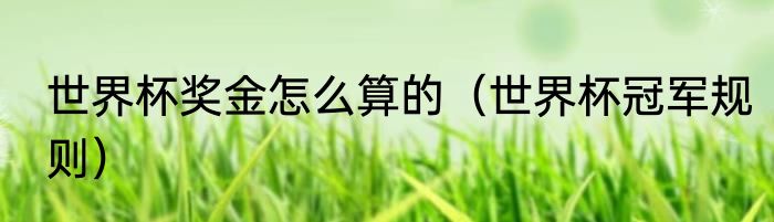 世界杯奖金怎么算的（世界杯冠军规则）