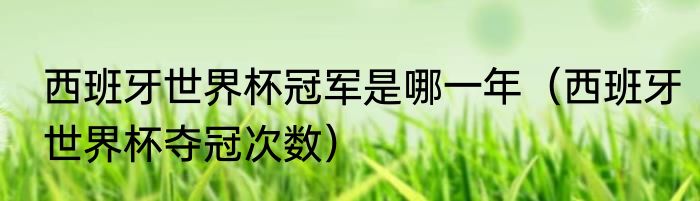 西班牙世界杯冠军是哪一年（西班牙世界杯夺冠次数）