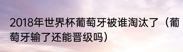 2018年世界杯葡萄牙被谁淘汰了（葡萄牙输了还能晋级吗）