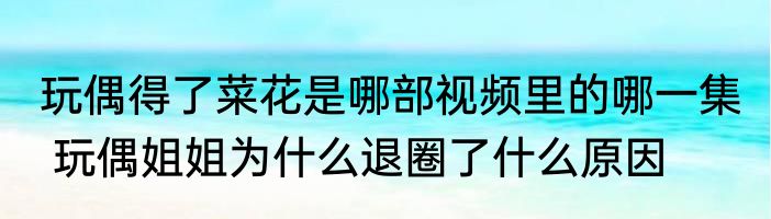 玩偶得了菜花是哪部视频里的哪一集  玩偶姐姐为什么退圈了什么原因 